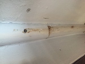 Hizmet Merkezim Tesisat Su Arızası