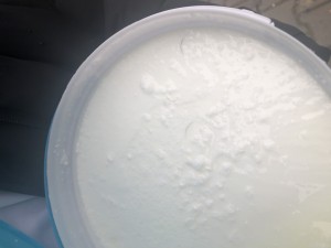 A101 Market Birşah Yoğurt Şikayet Ürün İçinden Kıl Çıktı