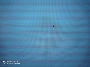 Vestel 49uht9300 Smart Ledtv Aldım İçerisine Sinek Giriyor Çözüm Yok