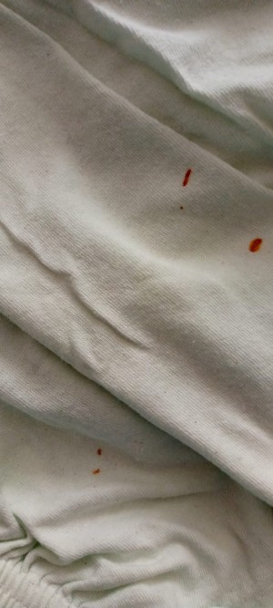 Vestel Çamaşır Makinesi Pas Lekesi Atıyor