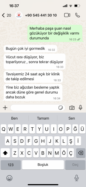 Veteriner İhmali Yanlış Tedavi Kedimi Öldürdü.